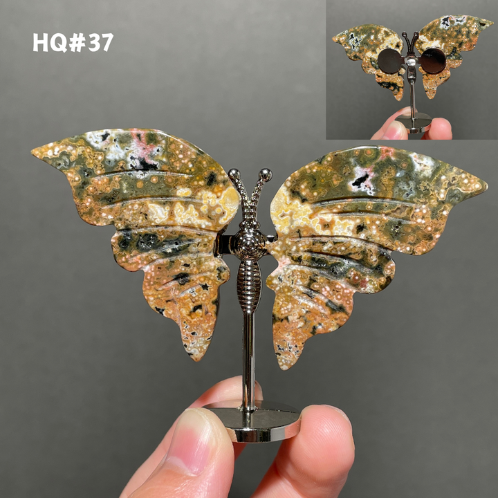 Unique,8th Vein Ocean Jasper Butterfly