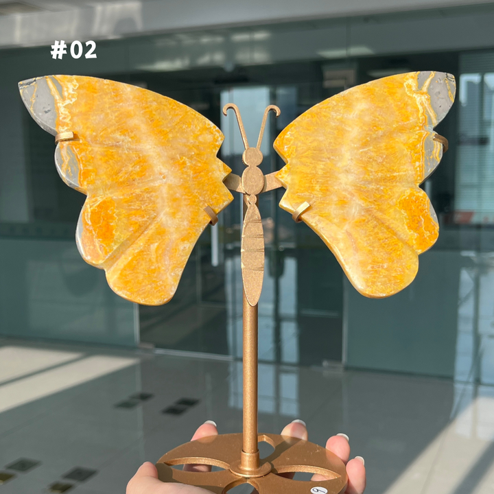 Unique,Bumble Bee Jasper Wing
