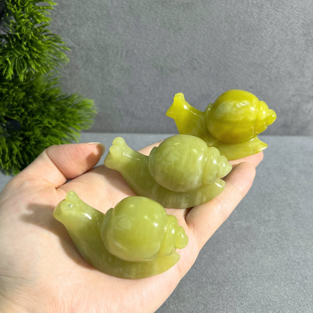 Snail Carving