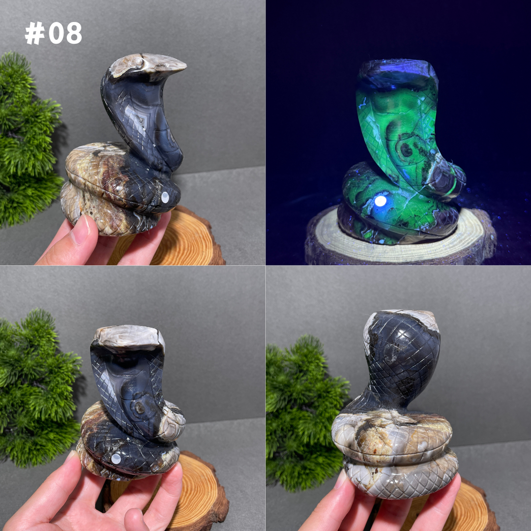 Unique,Volcanic Agate Snake