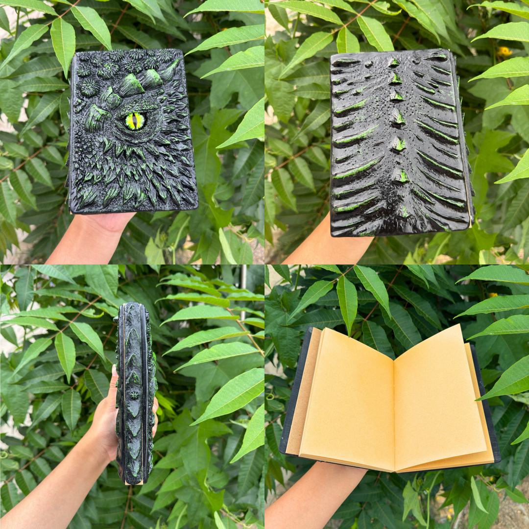 Dragon eye notebook