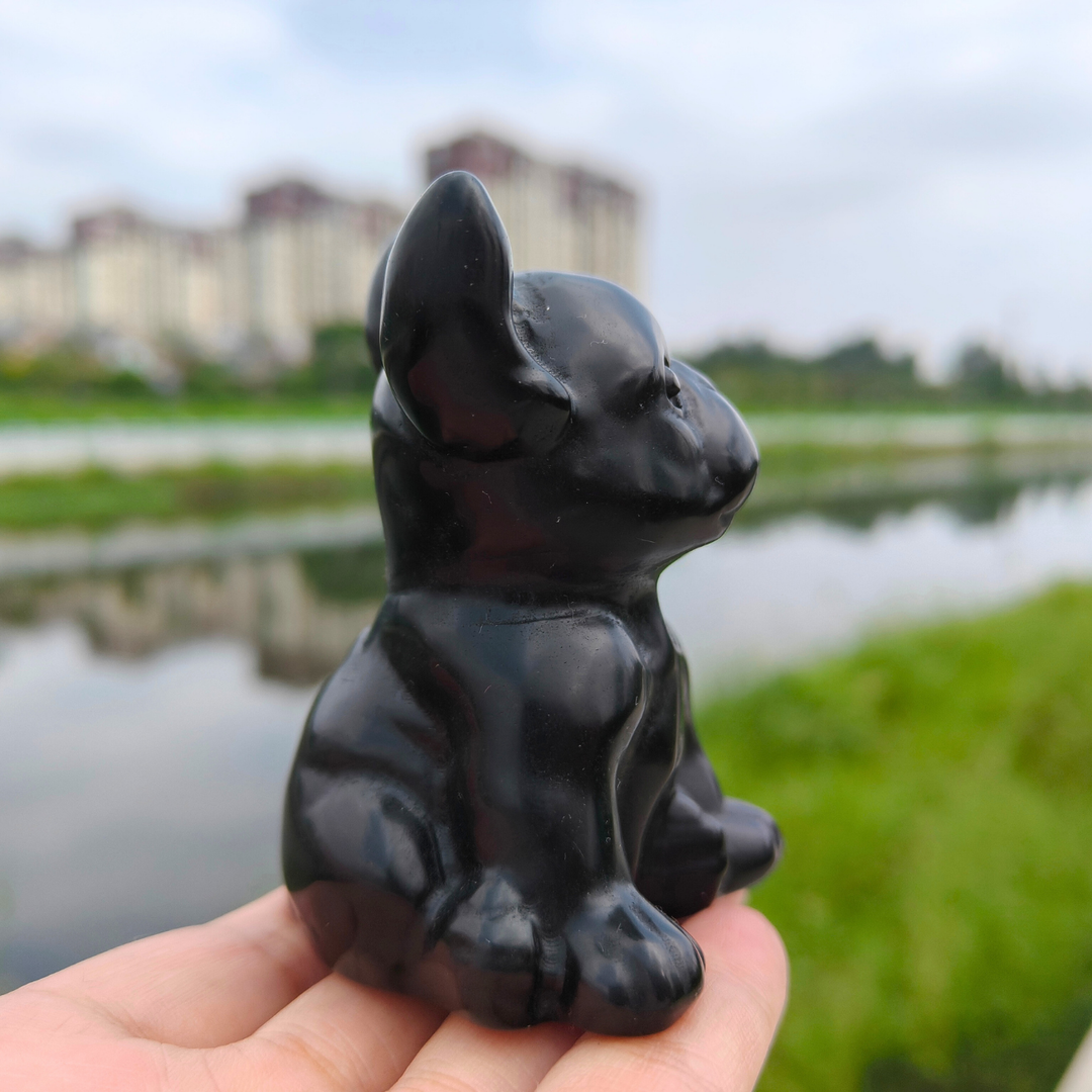 Obsidian Dog