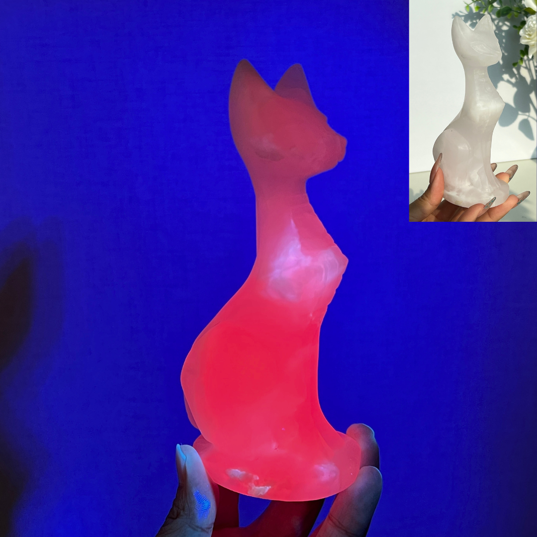 KIKI Exclusive Design Cat Carving