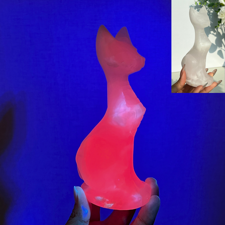 KIKI Exclusive Design Cat Carving