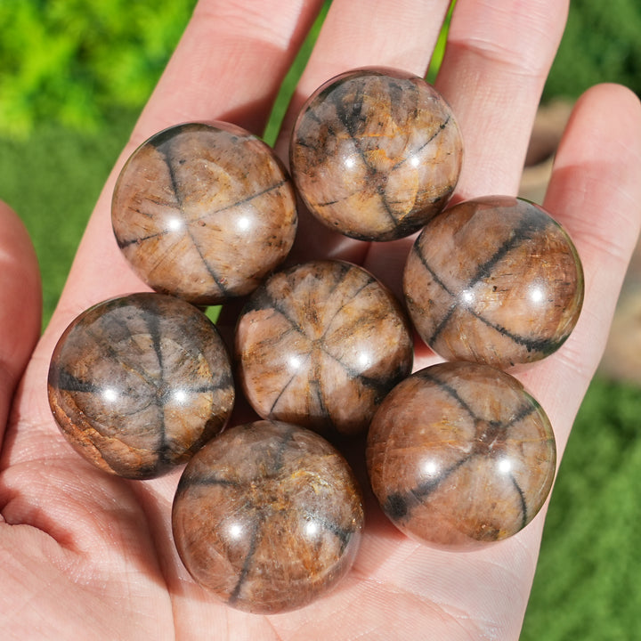 Natural Chiastolite Sphere