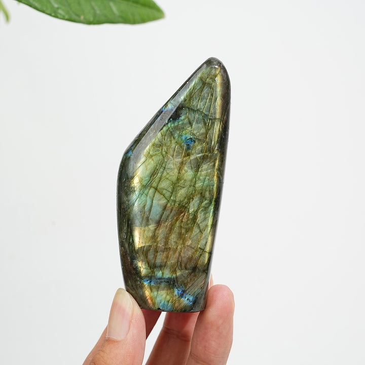 Unique,Natural Crystal Labradorite Ornament