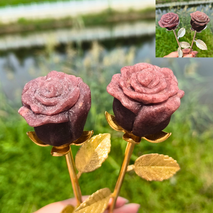 Strawberry Rose