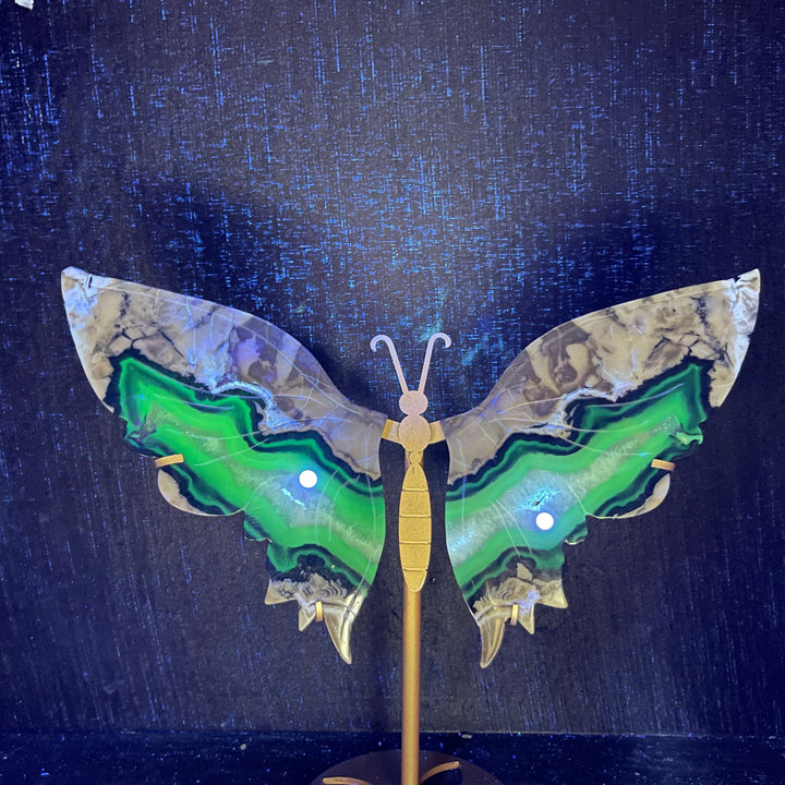 Unique,A Slightly Imperfect Natural Crystal Volcanic Agate Butterfly Wings