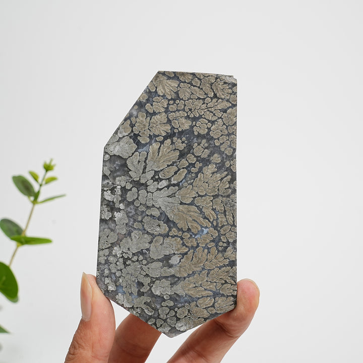 Unique,Natural Crystal Agate With Pyrite Slice