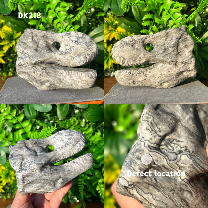 Tyrannosaurus Skull Carving