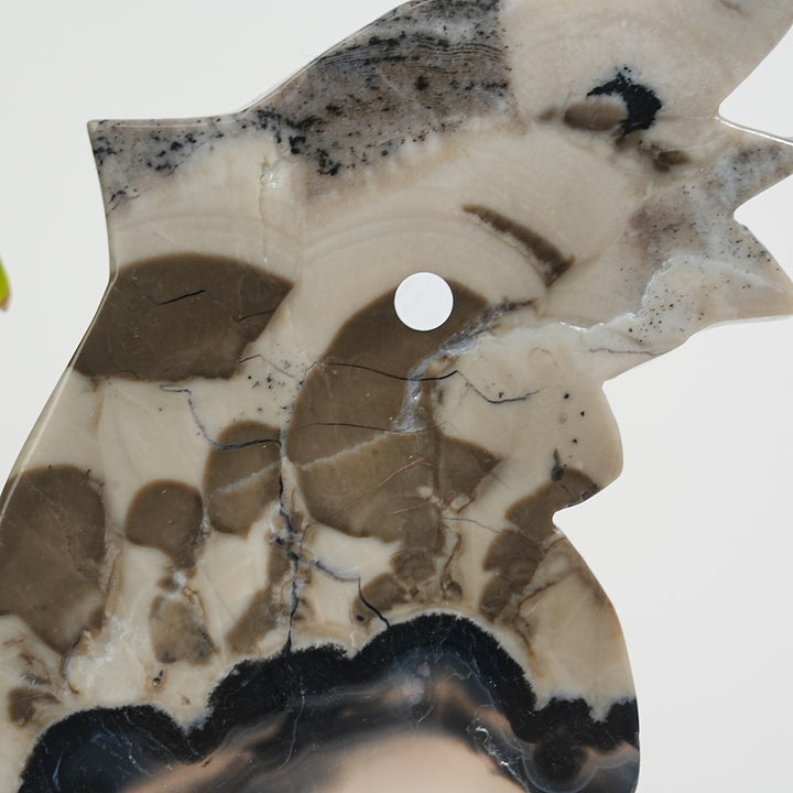 Unique,A Slightly Imperfect Natural Crystal Volcanic Agate Butterfly Wings
