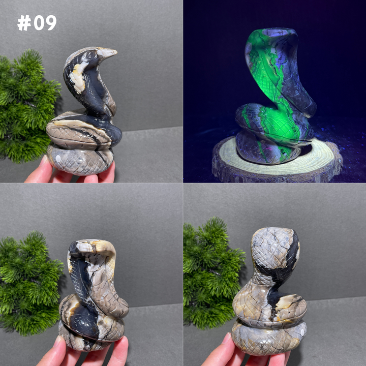 Unique,Volcanic Agate Snake
