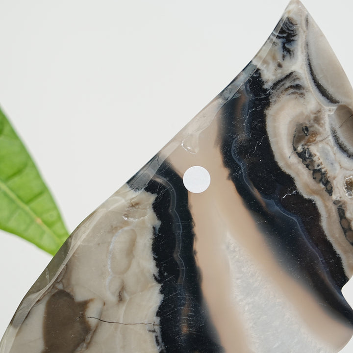 Unique,A Slightly Imperfect Natural Crystal Volcanic Agate Butterfly Wings