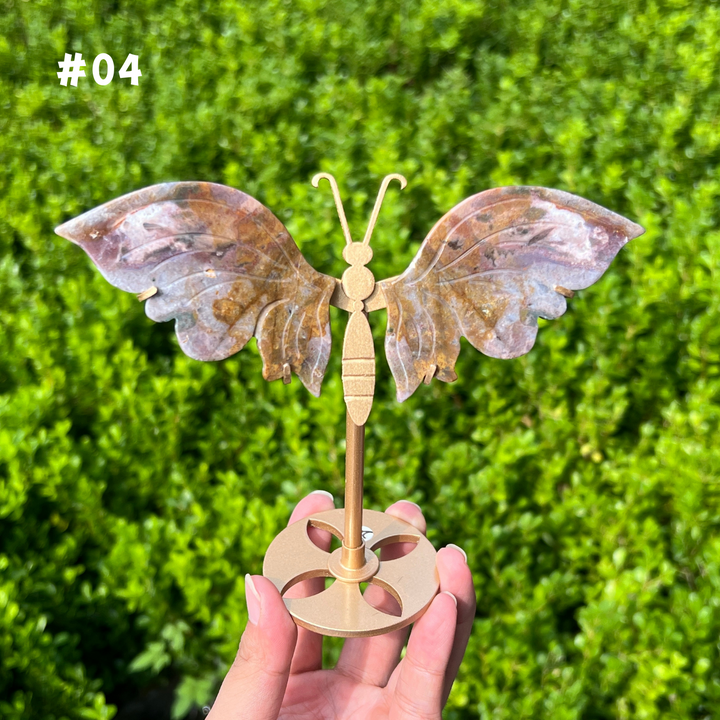 Ocean Jasper Butterfly