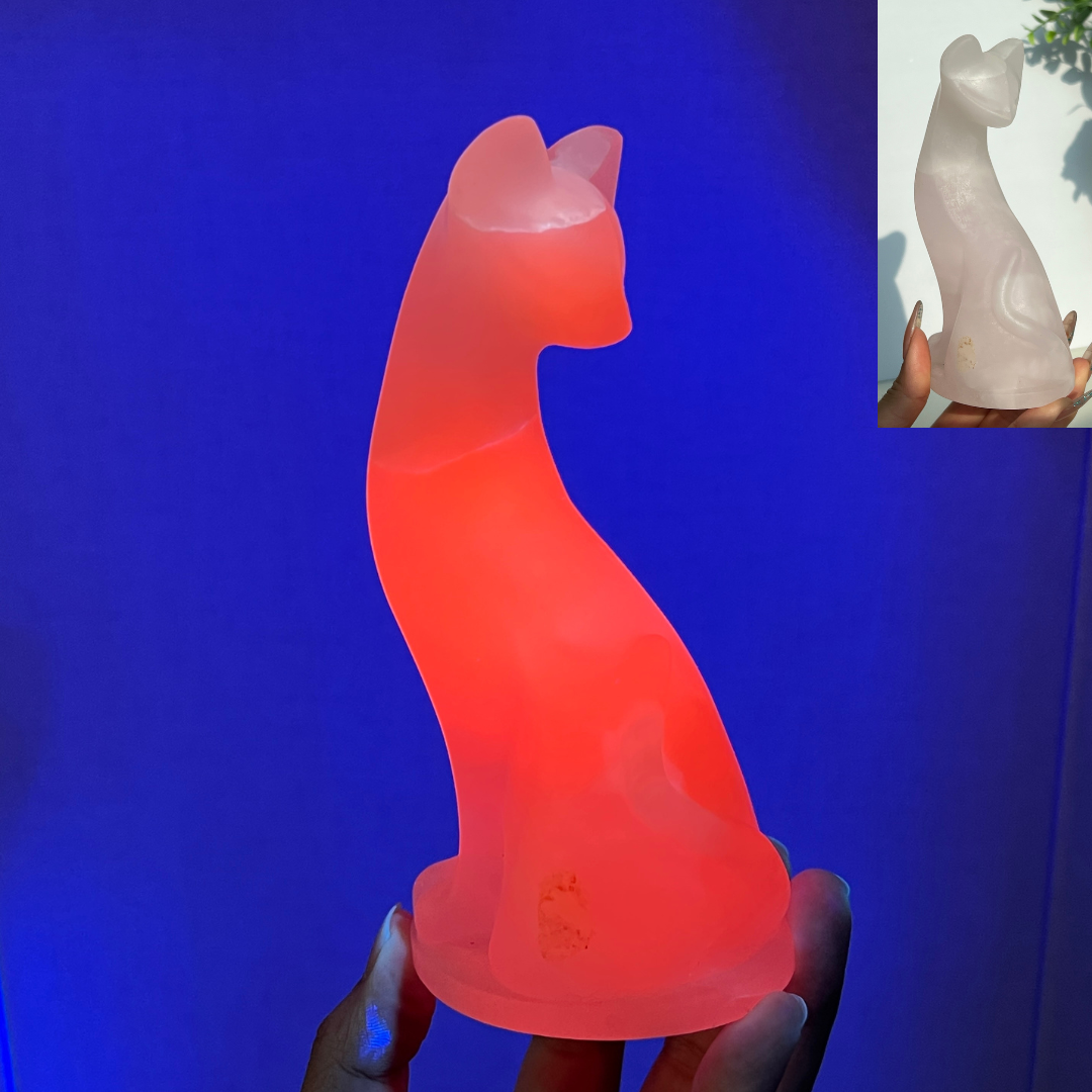KIKI Exclusive Design Cat Carving