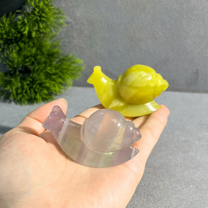 Snail Carving