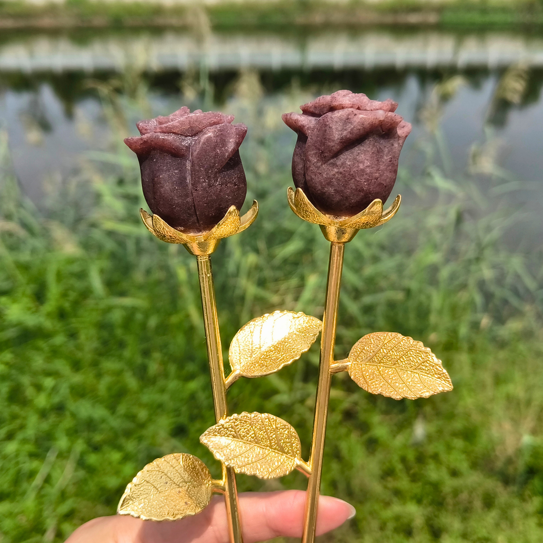 Strawberry Rose
