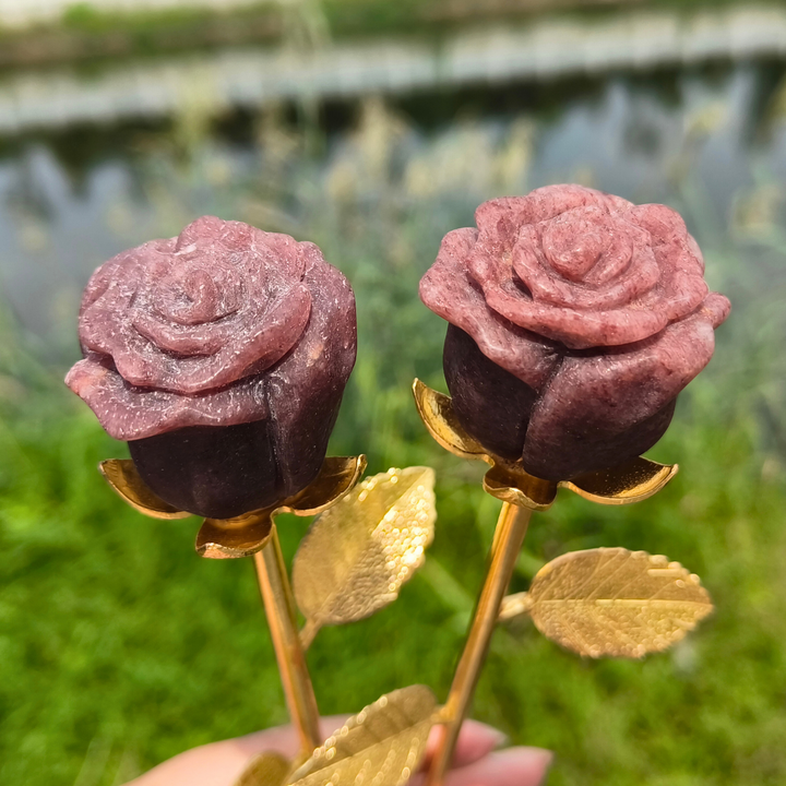 Strawberry Rose