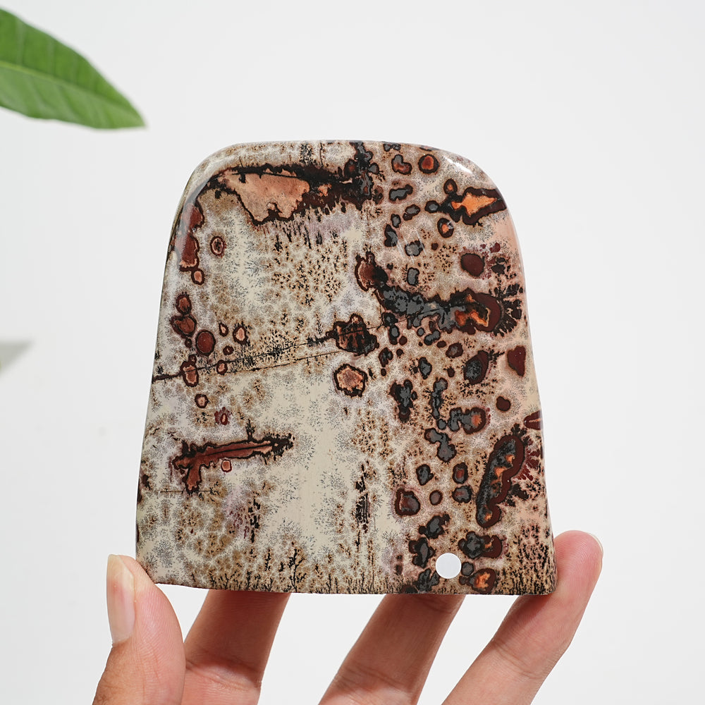 Unique,A Slightly Imperfect Natural Crystal Picture Jasper Ornament