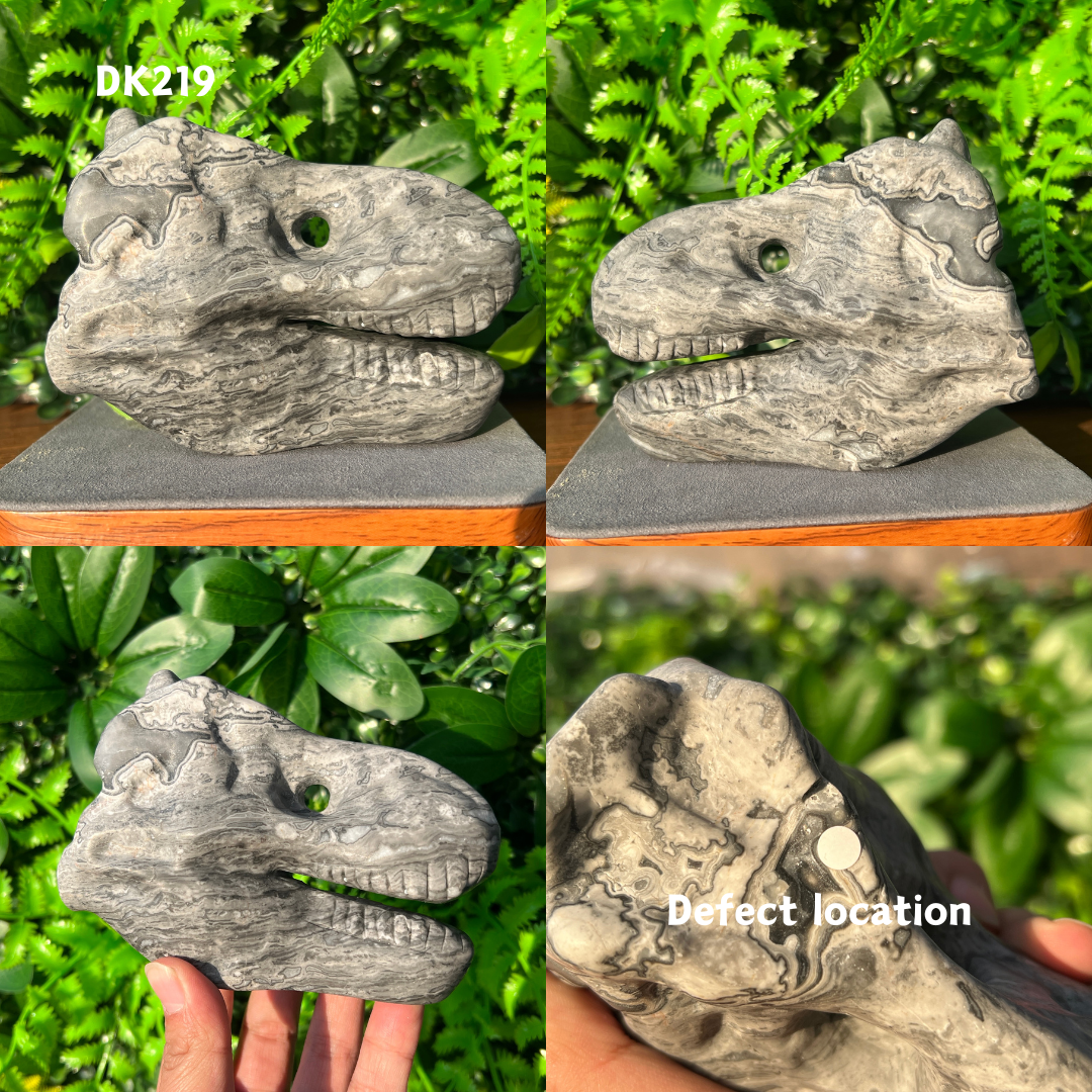 Tyrannosaurus Skull Carving