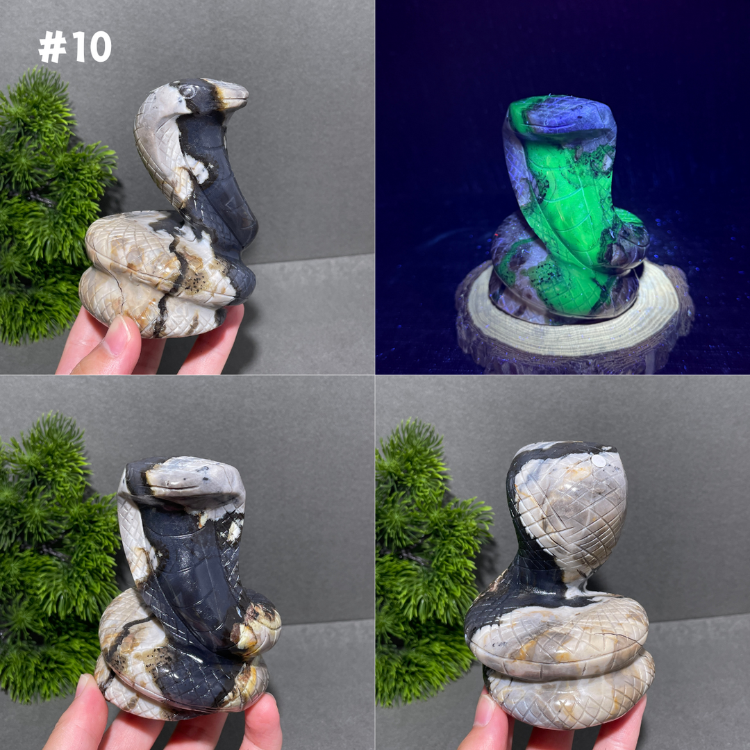 Unique,Volcanic Agate Snake