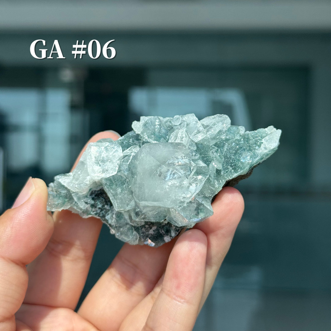 Unique, Sugar Druzy Apophyllite Cluster with Stilbite and Chlorite