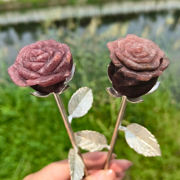 Strawberry Rose