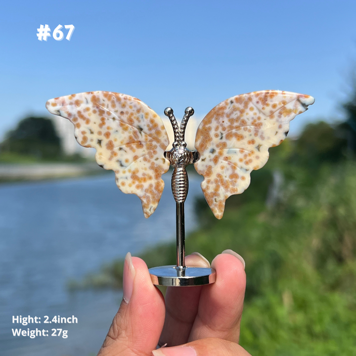Unique,8th Vein Ocean Jasper Butterfly