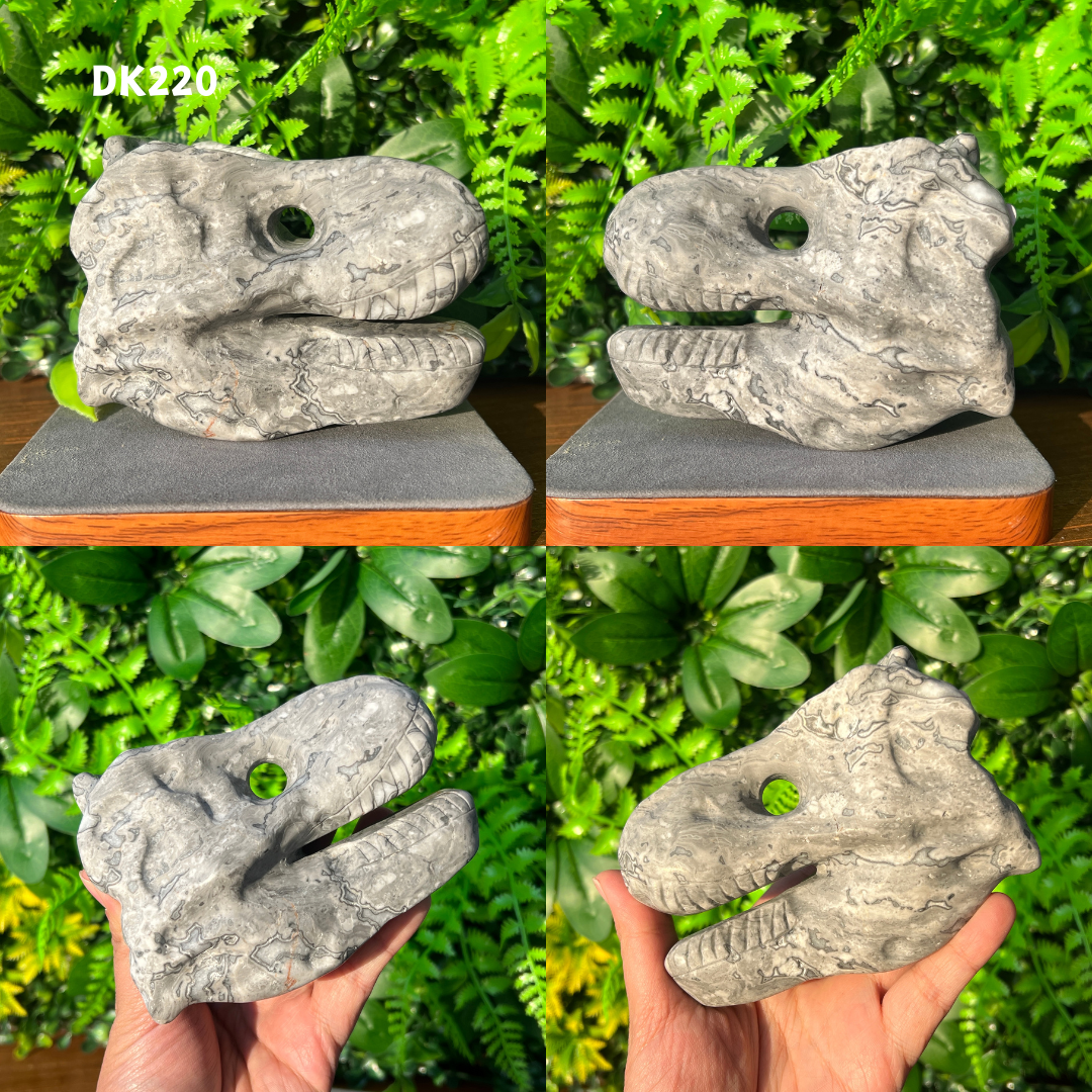 Tyrannosaurus Skull Carving