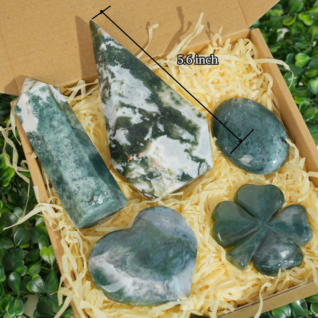 Beginner Starter Value Bundle- Moss Agate Sustainable Living Set