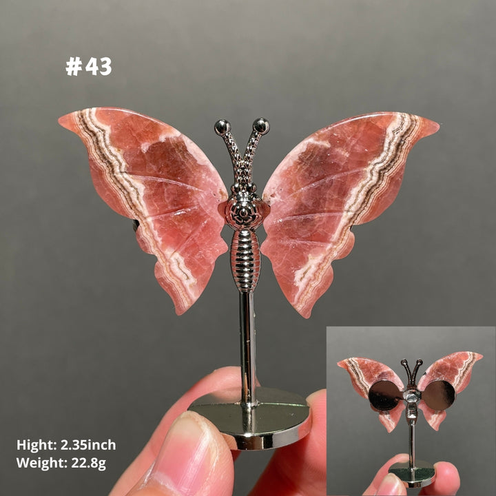 Unique,2.3"+Rhodochrosite Butterfly