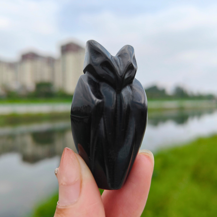 Obsidian Bat