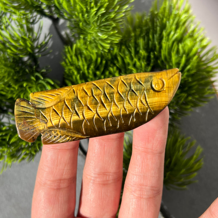 Tiger Eye Fish Carving