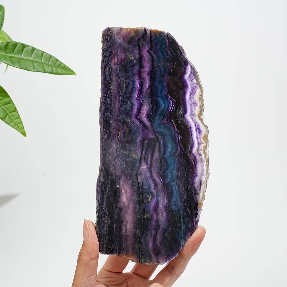 Unique,A Slightly Imperfect Natural Crystal Fluorite Slice