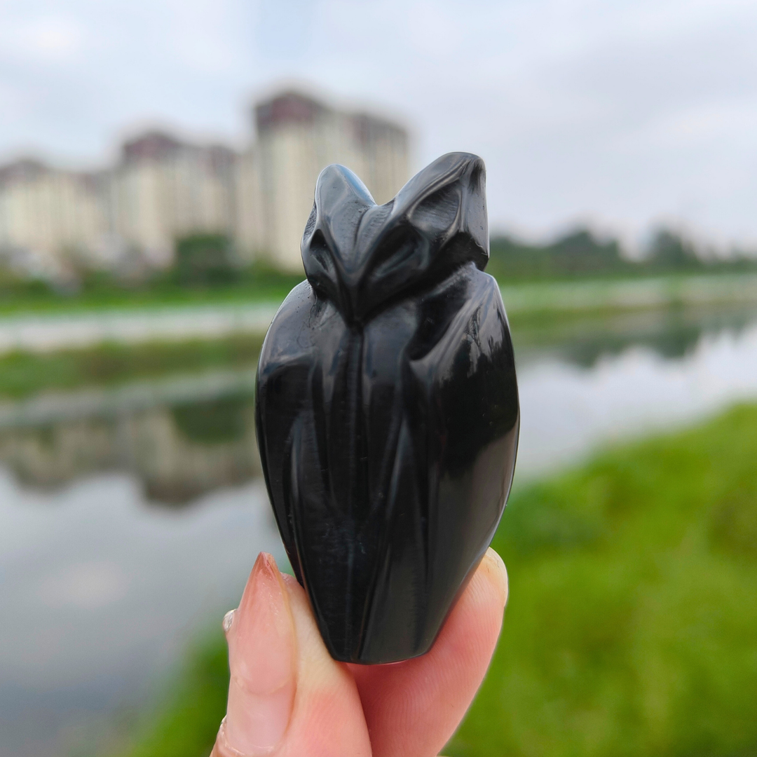 Obsidian Bat