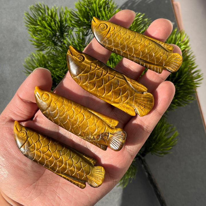 Tiger Eye Fish Carving