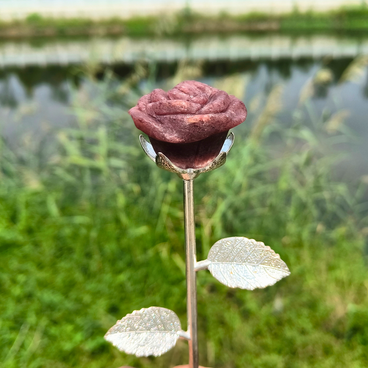Strawberry Rose