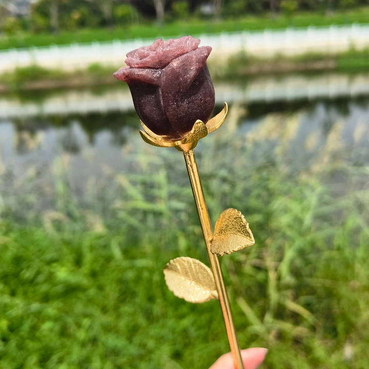Strawberry Rose