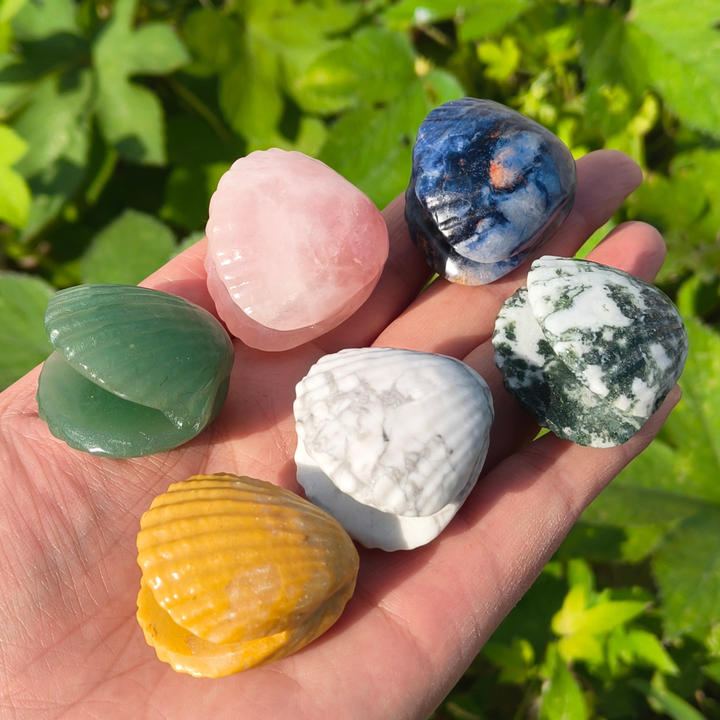 Natural Carved Crystal Shells