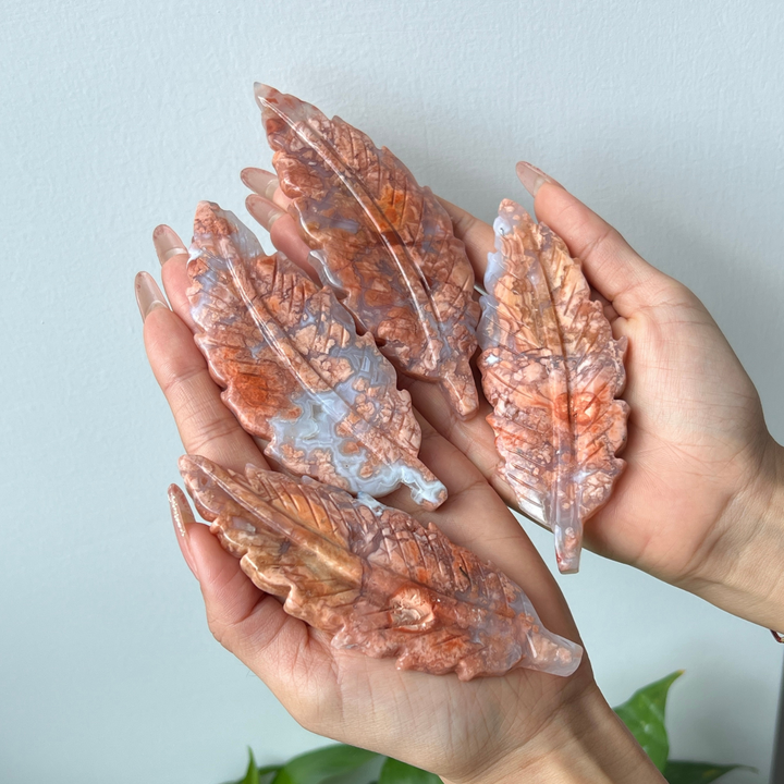 Pink Agate Feather