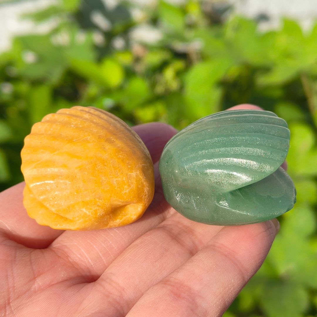 Natural Carved Crystal Shells