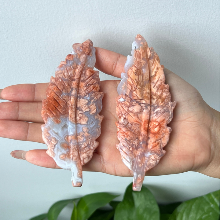 Pink Agate Feather