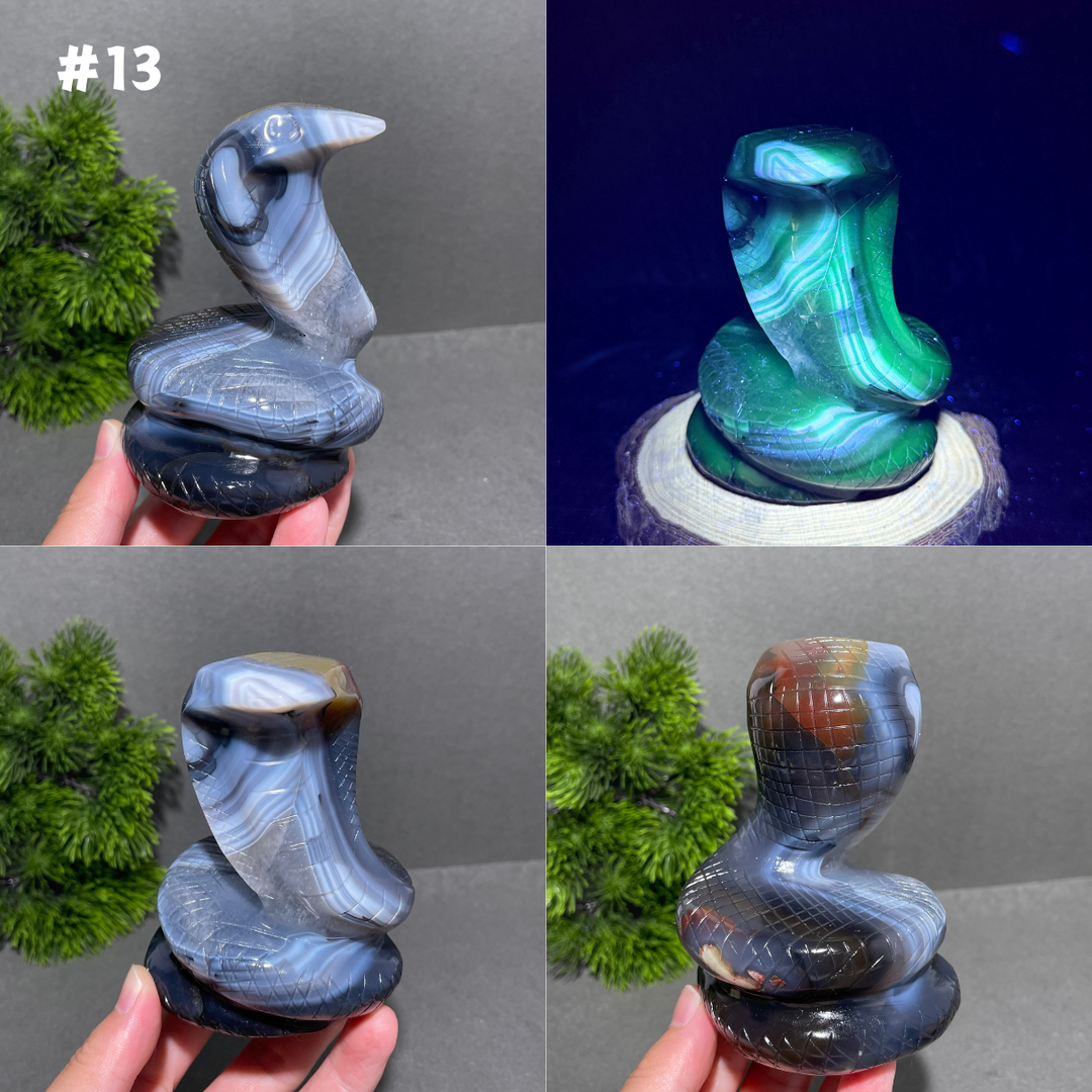 Unique,Volcanic Agate Snake