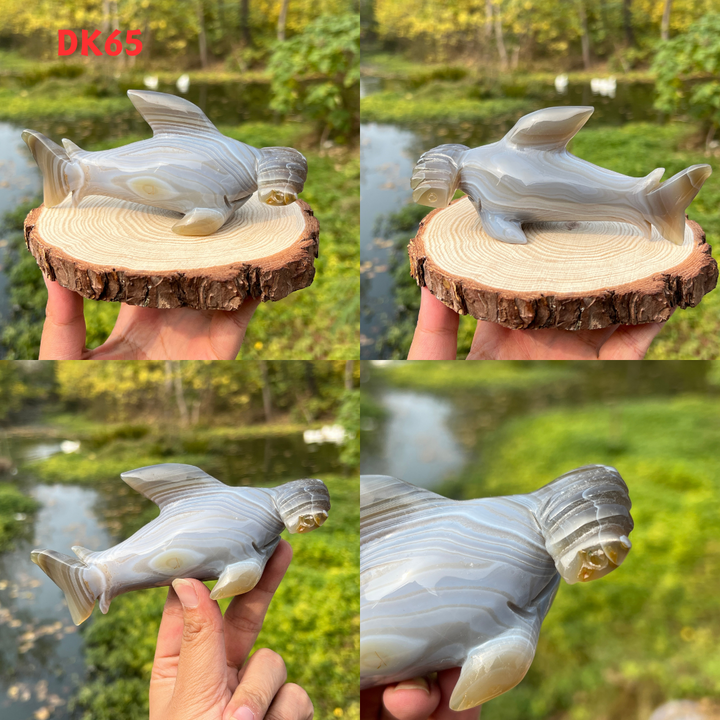 Shark Carving