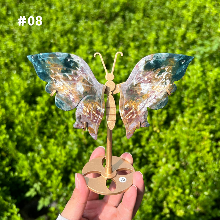 Ocean Jasper Butterfly