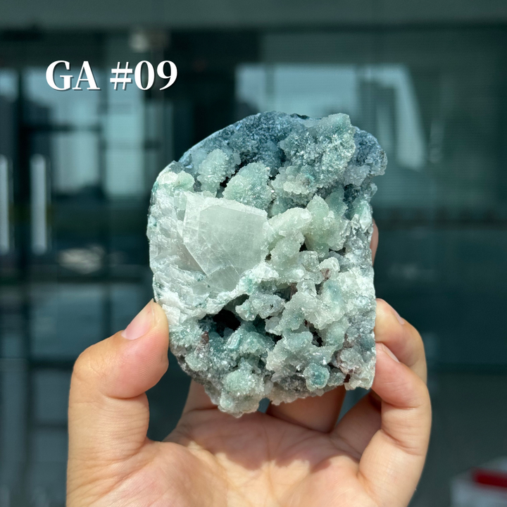 Unique, Sugar Druzy Apophyllite Cluster with Stilbite and Chlorite