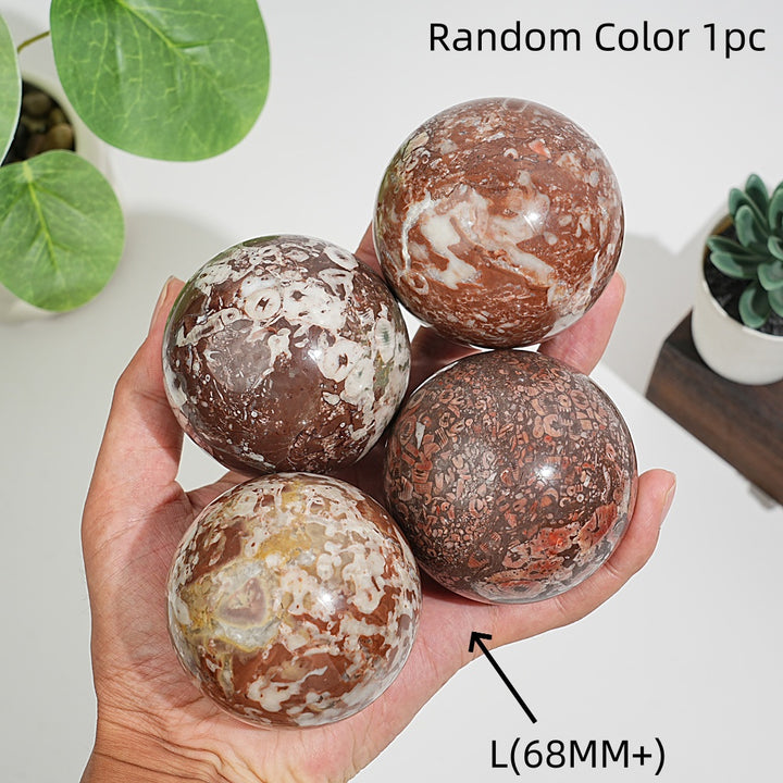 Natural Crystal Round Crinoid Fossil Sphere