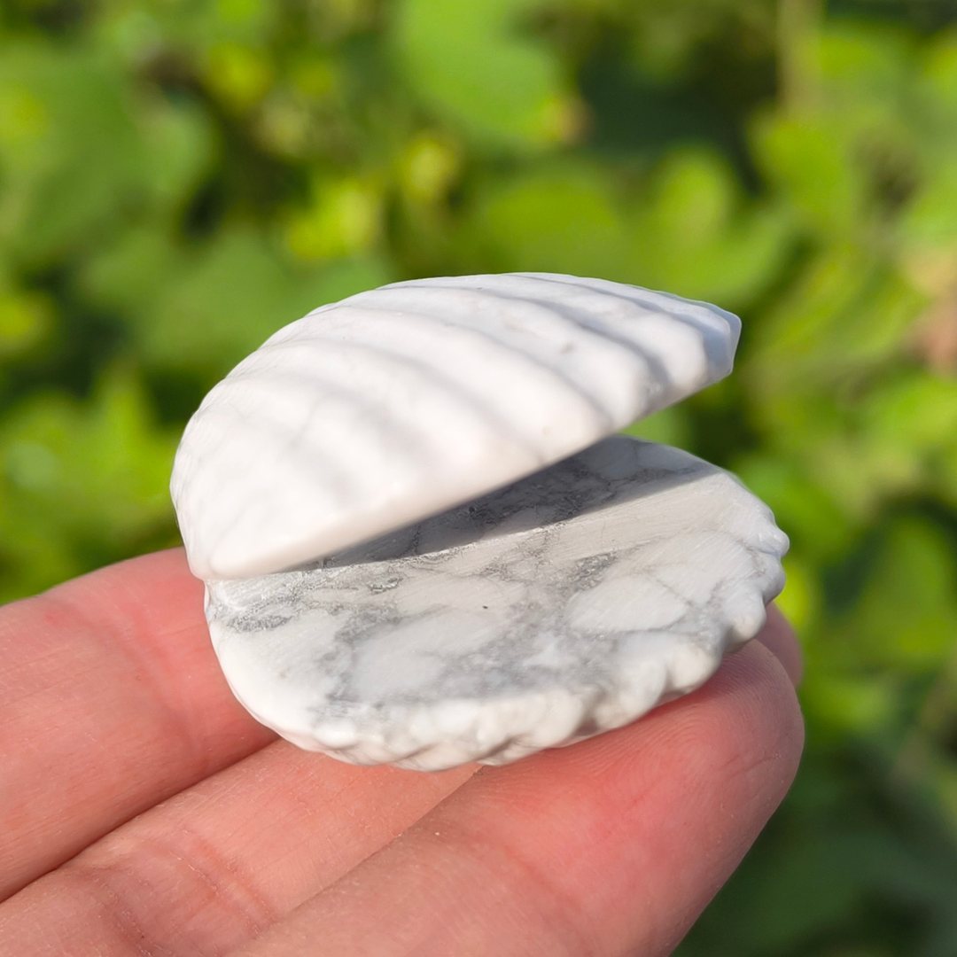 Natural Carved Crystal Shells