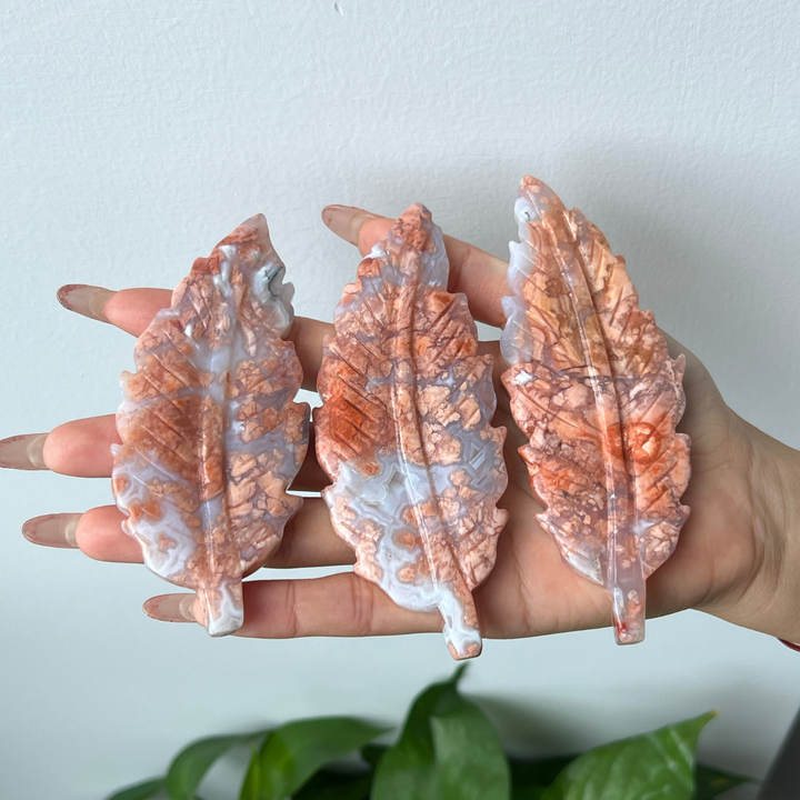Pink Agate Feather