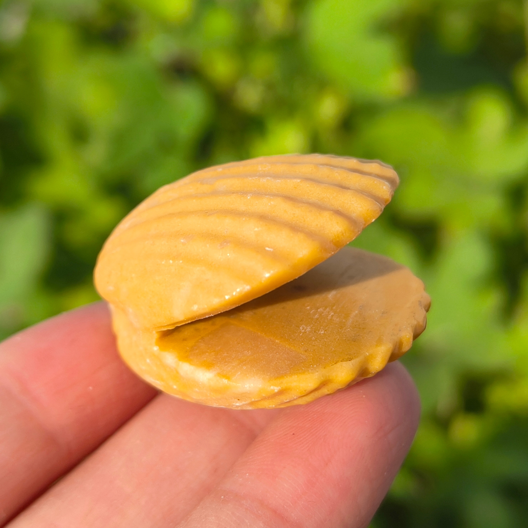 Natural Carved Crystal Shells